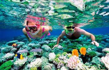 Unique underwater world