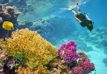 AMWAJ OYOUN RESORT AQUA PARK & SPA 4 * - Šarm Aš Šeichas - Šarm Aš Šeichas, Egiptas